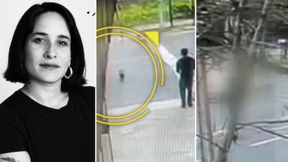 Se le ve salvando a su perrito y el brutal actuar del conductor: cámaras captaron el fatal atropello de la cineasta Paz Ramírez