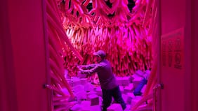 Cómo es Dopamine Land, un recorrido lleno de selfies, colores y emoción para tus sentidos