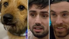 “Tampoco representan los valores de nuestra marca”: auspiciador de “Gran Hermano” reacciona a maltrato de Bigotes