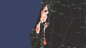 Se activa Botón Rojo ante riesgo de incendios forestales: Conaf alerta a seis regiones y más de 100 comunas del país