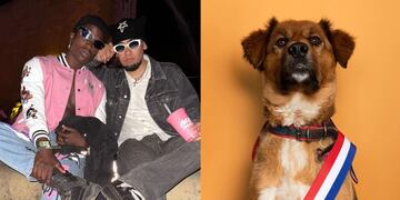 Contardito y Mike, influencer de “Devuelvan el Moai”, hicieron rifa para Viña: uno de los premios fue once con Brownie