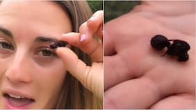 La vez que Tita Ureta se comió una hormiga “culona” en pleno Amazonas y terminó mal