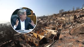 Viralizan a político que “anticipó” hace una década la catástrofe en Penco: “Si hay fuego, va a atacar a las viviendas”
