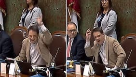 “¡Cállate, vieja ridícula!“: el feroz cruce que protagonizó Gaspar Rivas en plena sesión de la Cámara