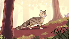 La historia del frágil “oasis” que oculta al Gato colocolo de industrias, perros e inmobiliarias