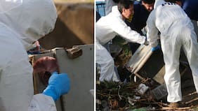 Alerta por hallazgo de caja fuerte enterrada en Renca: Investigan si es la robada a Desarrollo Social