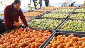 Las frutas que llevan la corona en el reino de las vitaminas y las fibras