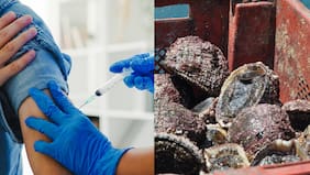 Gracias al loco: se creó vacuna chilena que podría ayudar a tratar melanoma avanzado