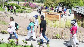 Decálogo para evitar colapsos como el del Jardín Japonés