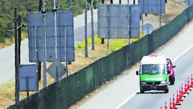 Revuelo causó la presencia de un puma atropellado en plena Ruta 68