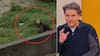 ¿No lo pescaron? Transmiten a rescatistas la idea de Lindorfo para salvar a “Morocho”, perrito atrapado en el río Mapocho