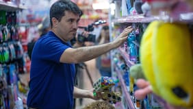 Condenan a local chino a pagar multa de más de $87 millones por venta de productos potencialmente peligrosos