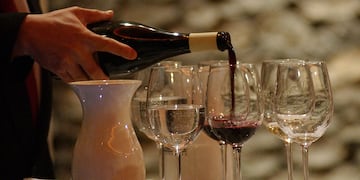 Día del Carmenere: Así es como Chile se convirtió en el refugio de un vino casi extinto