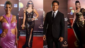Desde la transparencia de Rayén Araya a Cristián Riquelme de galán: los mejor y peor vestidos de la red carpet del Copihue, parte tres