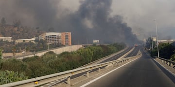 Raging forest fires turn deadly in Chile