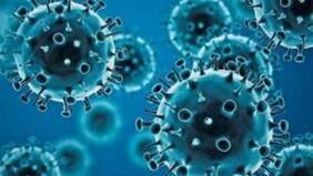 Variante Ómicron llegaría a un peak de contagios hacia finales de enero