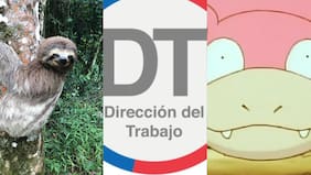 ¡Cuando todos ya estaban en la oficina! DT llamó a empleadores a facilitar el teletrabajo para sus funcionarios