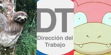 ¡Cuando todos ya estaban en la oficina! Dirección del Trabajo llamó a empleadores a facilitar el teletrabajo para sus funcionarios