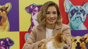 Carola de Moras se lanza a lo grande con e-commerce a través de su sitio