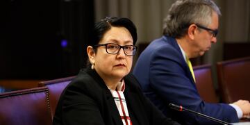 Dorothy Pérez en comisión por incendios