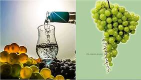 Pisco chileno otra vez supera al peruano: revista especializada lanzó lista de mejores y peores bebidas alcohólicas