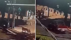 Violento asalto: Motochorros quitaron toda la platita a pareja de adultos mayores a la salida del banco