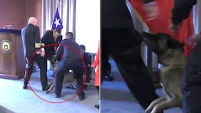 Se le tiró al bolsillo: Perro antidrogas se lanzó sobre Vicealmirante de la Armada en plena ceremonia