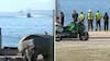 Hay un muerto y un herido grave: Reportan hallazgo de pescadores desaparecidos tras naufragio en Talcahuano