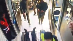 Graban minutos de angustia: Carabineros salvan la vida de adulto mayor que sufrió infarto en planta de revisión técnica