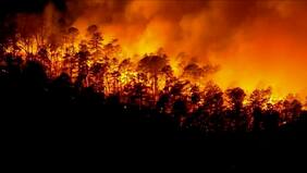 Conaf activa Botón Rojo en Santiago y otras cinco regiones por condiciones favorables para propagación de incendios