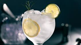 Día mundial del gin: ¿Qué se necesita para preparar el mejor gin?