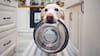 ¿Te has preguntado cada cuánto hay que lavar el plato de las mascotas? Acá la respuesta