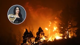“Somos un país que siempre se levanta”: Stephanie Vaquer compartió emotivo mensaje tras los incendios forestales en Chile