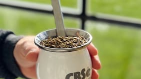 Mateando: Una yerba 100% mate llega a Chile