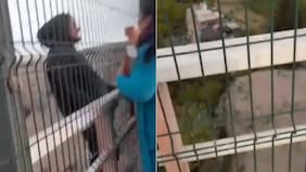 No pudieron evitar que se lanzara, pero grabaron video clave: sujeto que se quitó la vida habría asesinado a pareja