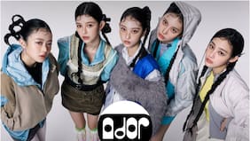 Tribunal falla a favor de ADOR y prohíbe a NJZ realizar actividades independientes