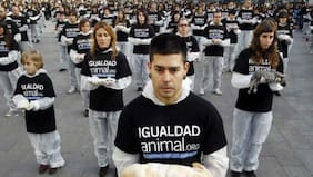 Animalistas piden que se deje de usar frases como "matar dos pájaros de un tiro", entre otras