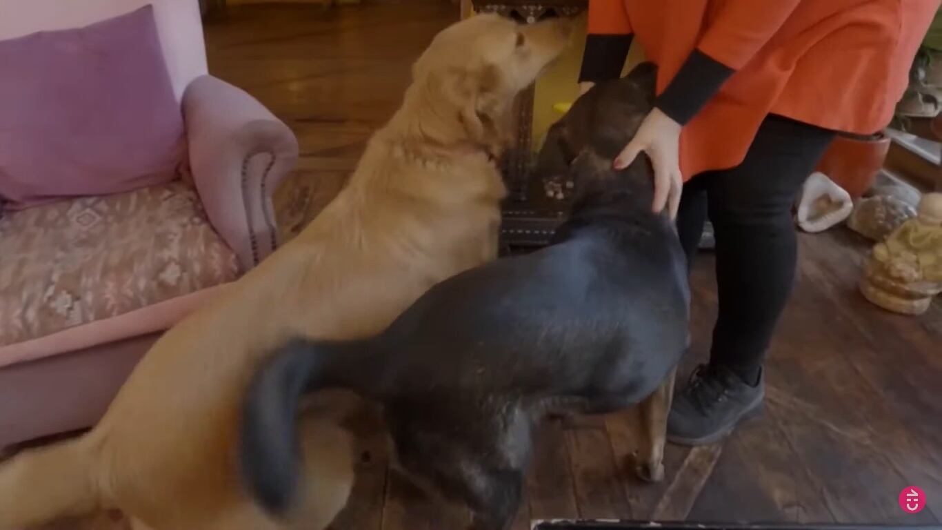 Malucha Pinto abrió las puertas de su casa en La Divina Comida