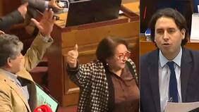 Con apoyo de la Dra. Cordero: registran tenso cruce entre Vlado Mirosevic y René Alinco en el Congreso