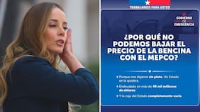 Contraloría pide explicaciones a la Segegob de la ministra Sedini por publicación sobre “un Estado en la quiebra”