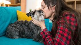 Pet Parenting: Cómo ser un buen “padre” o “madre” de tu mascota