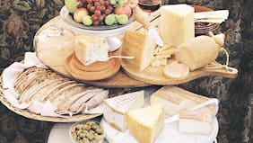 Para mantener siempre fresco el queso en todo tipo de negocio