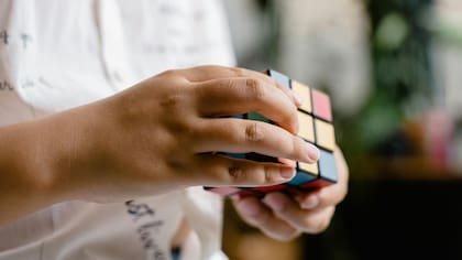 El desafío solo para los vista de halcón: ¿cuántos animales logras ver en la imagen?