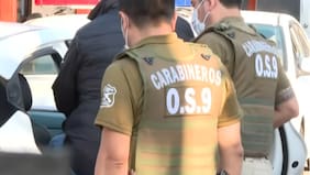 Cayeron funcionarios municipales de Isla de Maipo por presunta red que negociaba con licencias de conducir