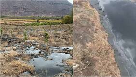 Investigan daño ambiental en Salamanca: denuncian rotura de tubería de minera Los Pelambres