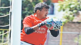 Municipal Santiago en las manos de Andro Martinic