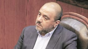 Partido Ecologista corta comunicación con el Gobierno tras altercado de Ávila con la diputada Delgado