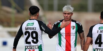 Palestino