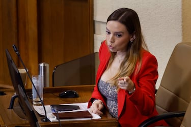 “La cuota Flores” habría llegado a monto millonario: filtran chats que complicarían a Camila Flores en medio de denuncia