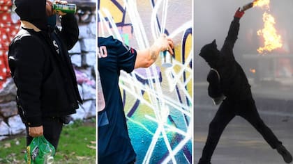 Ultraje a la bandera o transitar por la berma: bancada UDI propone sumar 10 nuevas incivilidades al Registro de Vándalos